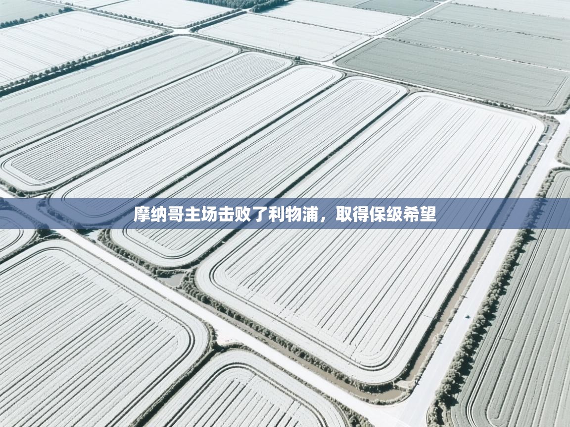 摩纳哥主场击败了利物浦，取得保级希望  第2张