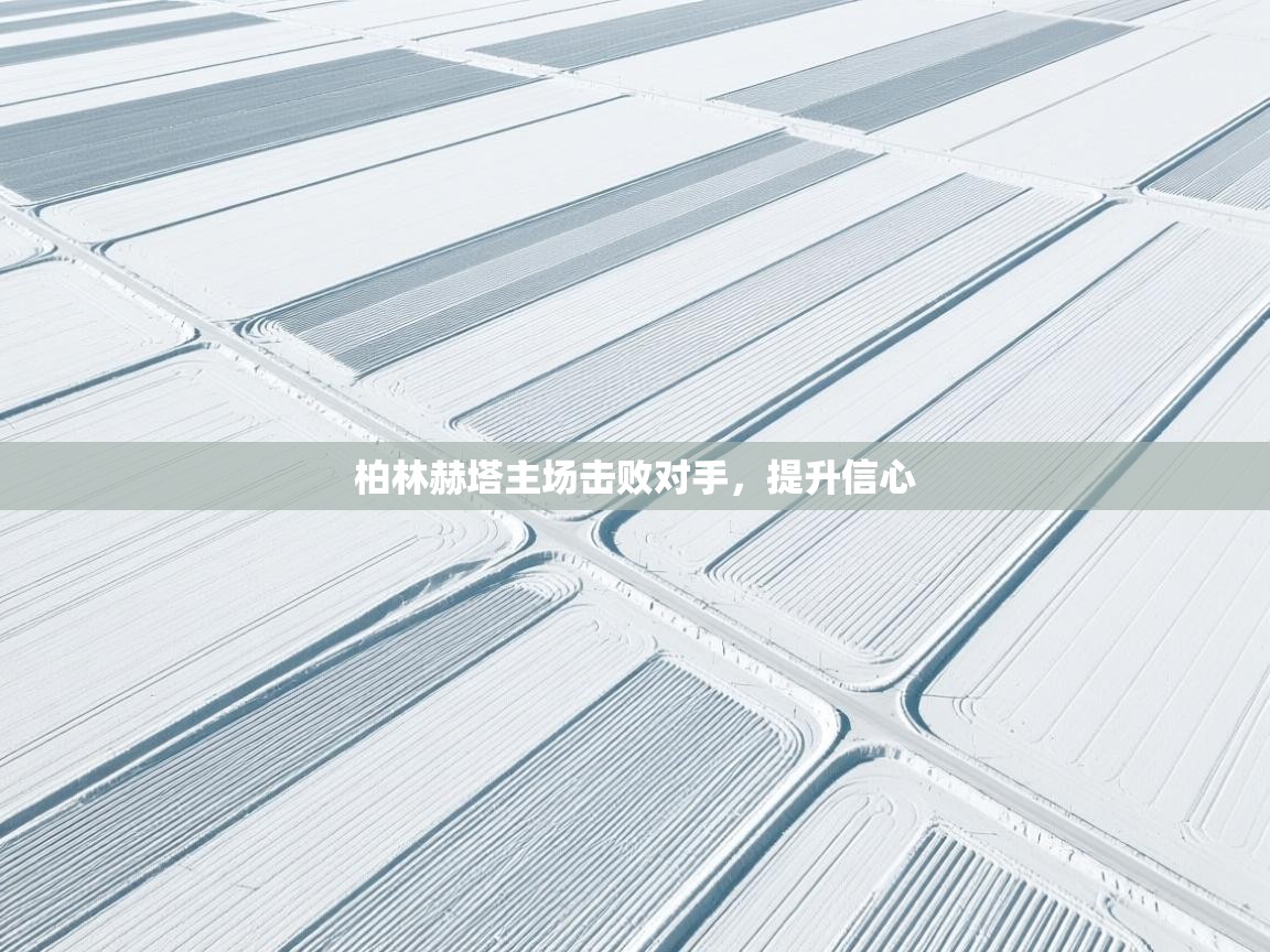 柏林赫塔主场击败对手，提升信心  第2张