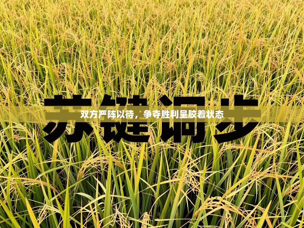 双方严阵以待，争夺胜利呈胶着状态  第2张