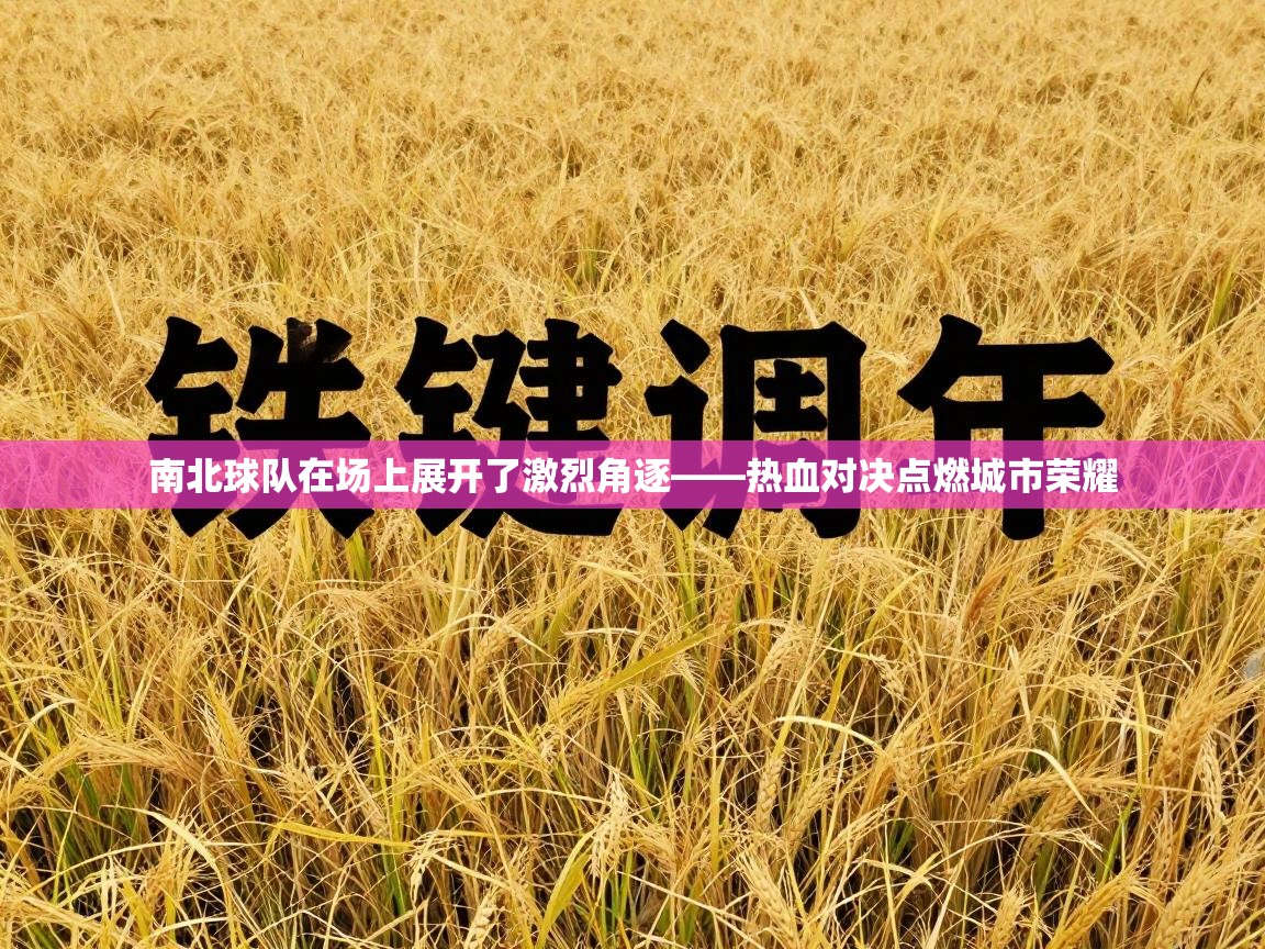 南北球队在场上展开了激烈角逐——热血对决点燃城市荣耀