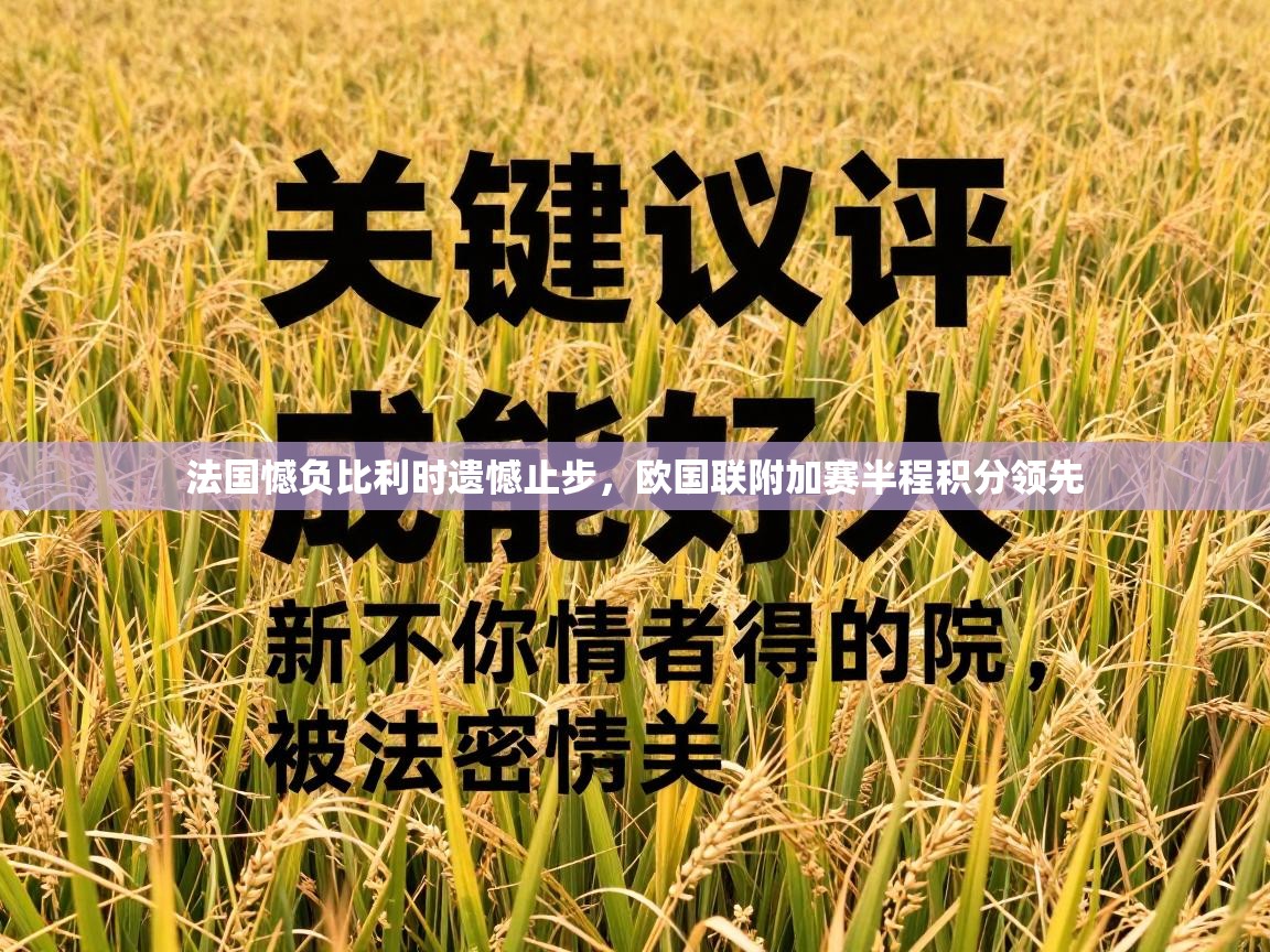 法国憾负比利时遗憾止步，欧国联附加赛半程积分领先