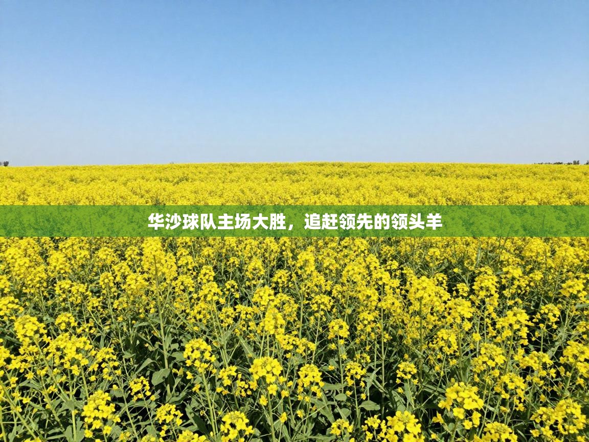 华沙球队主场大胜，追赶领先的领头羊